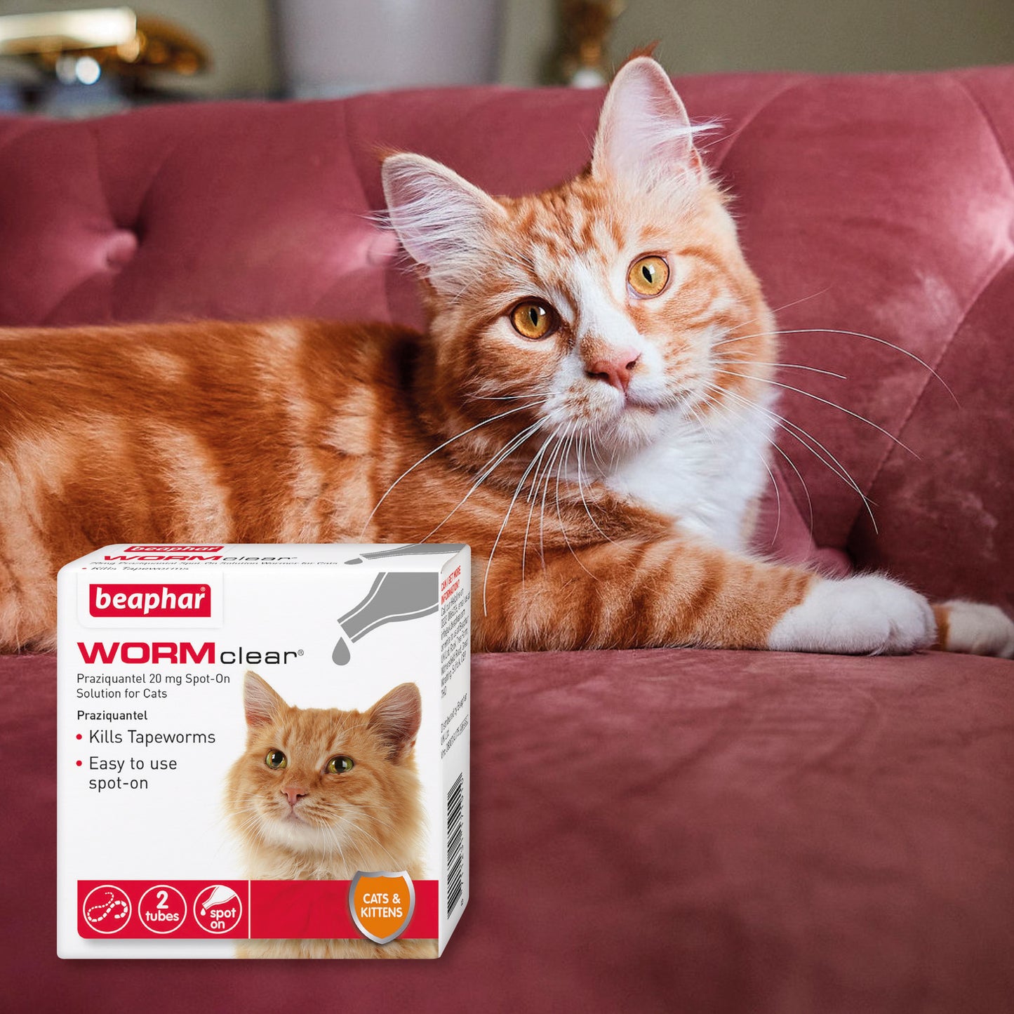 BEAPHAR WORMCLEAR FOR CATS WORMING SOLUTION SPOT ON TREATMENT 2 TUBES