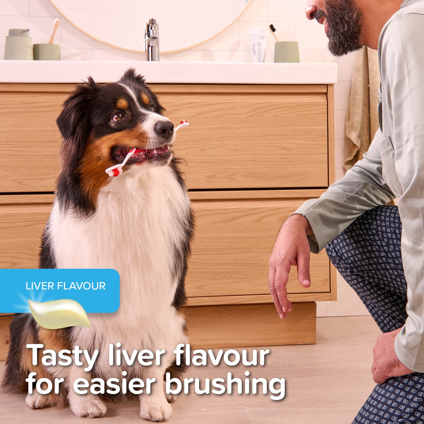 Beaphar Toothpaste for Cat & Dogs