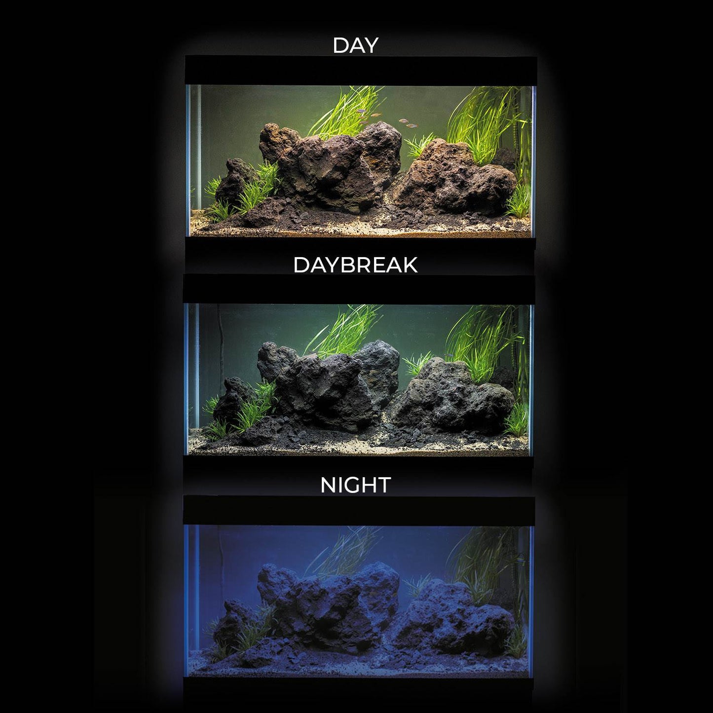 Aquael Ultrascape 90 Aquarium Set