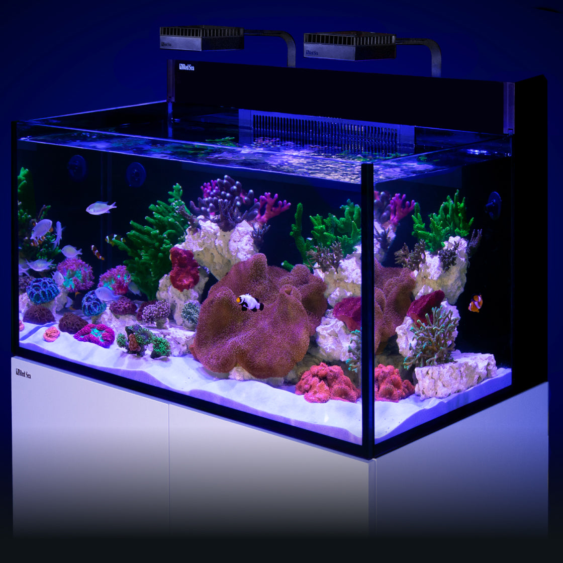 Red Sea Max Nano G2 XXL 200L Aquarium & Cabinet
