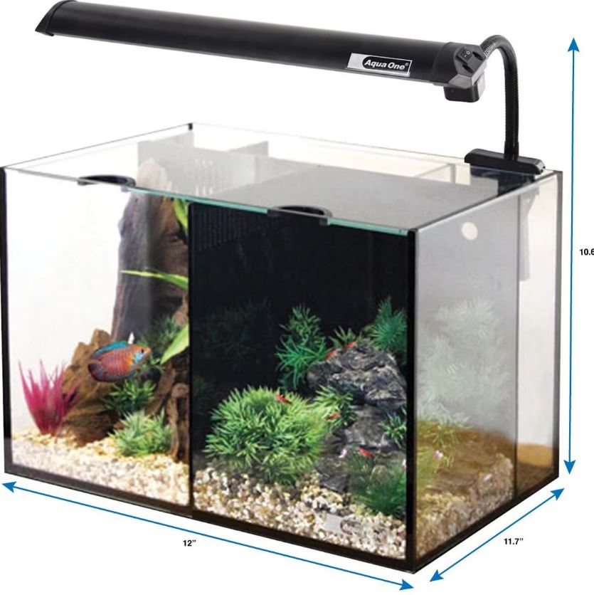Black LED 20L Aqua One Betta Duo Glass Aquarium from Aquacadabra