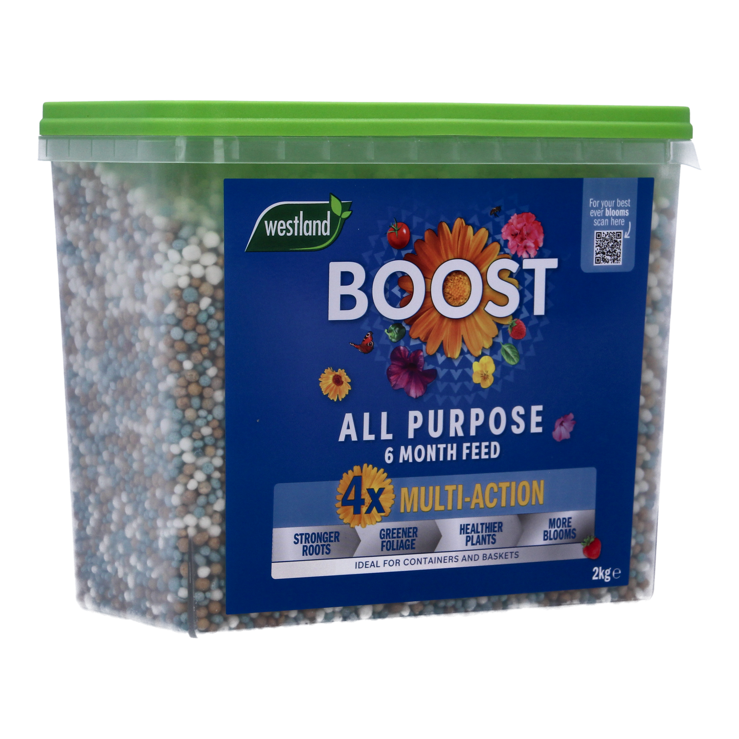 Westland Boost All Purpose 6-Month Feed 2kg