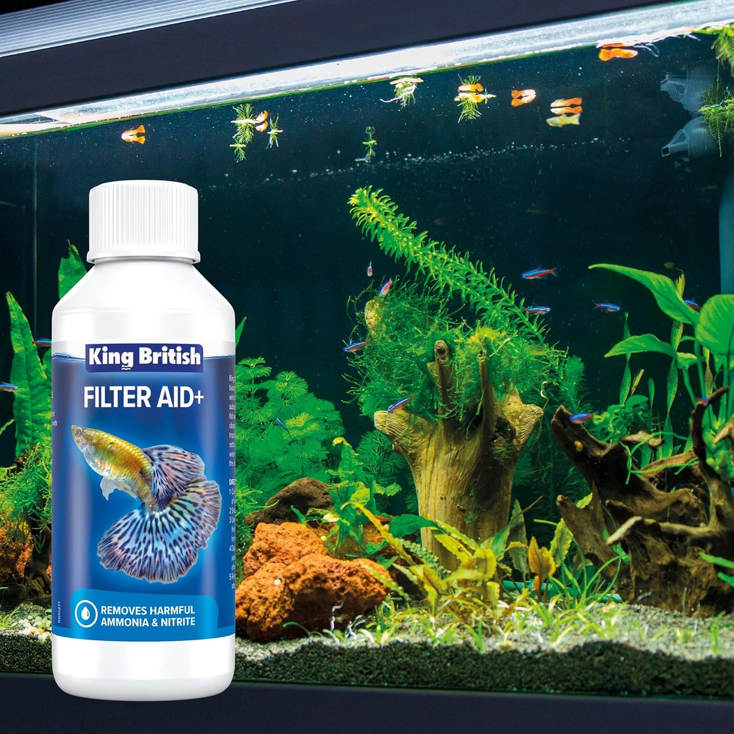 King British FilterAid Aquarium (Safe Water)