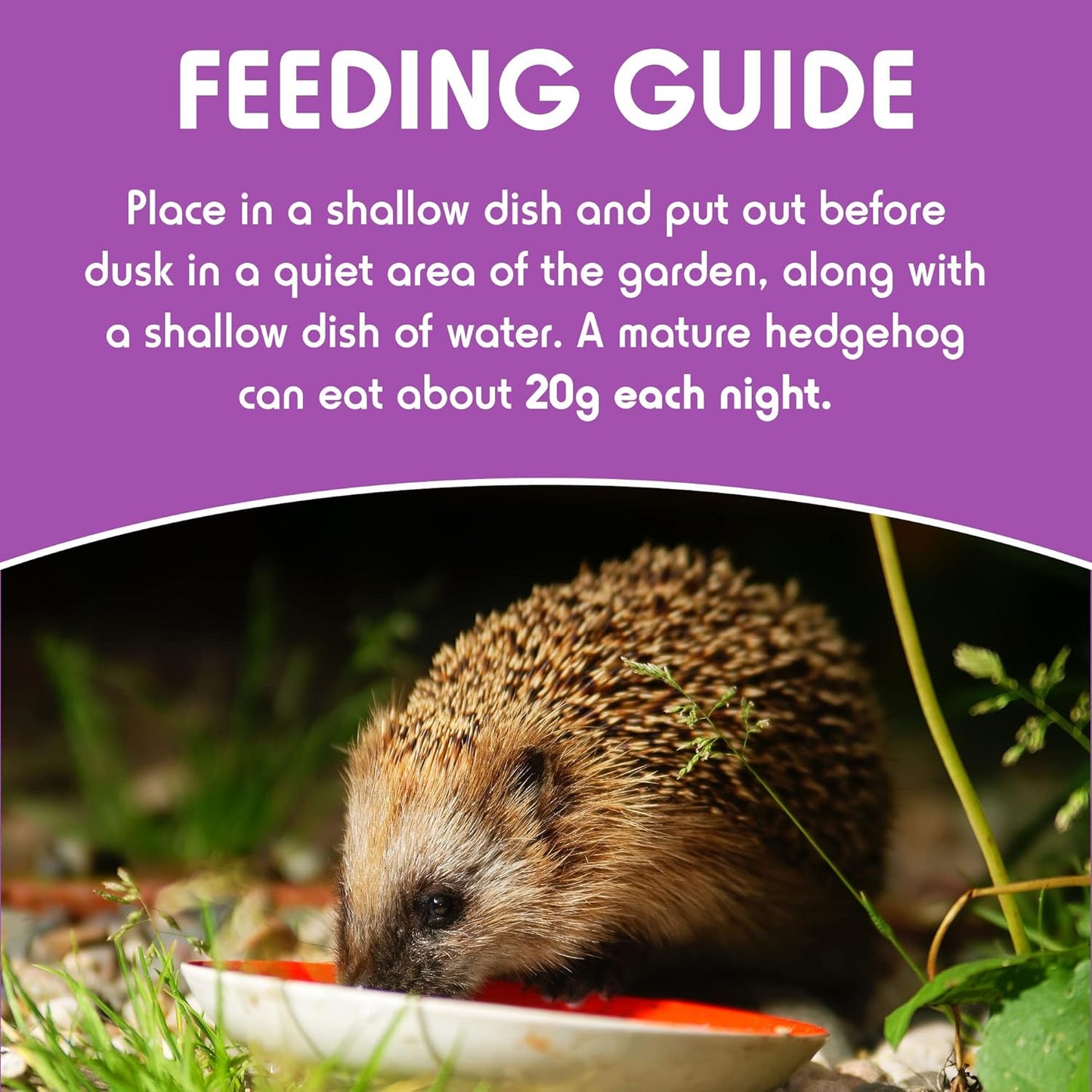 Spikes Hedgehog Food Scrummy Meaty Supper