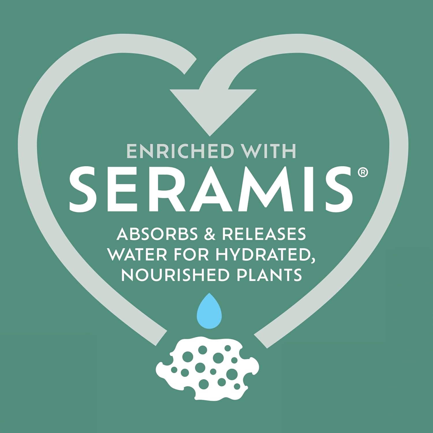 Westland Houseplant Potting Mix Peat Free