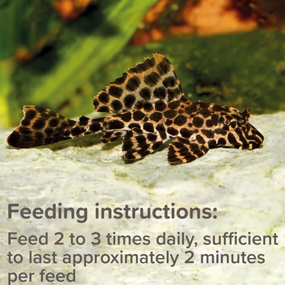 King British Pleco Tablets 150g
