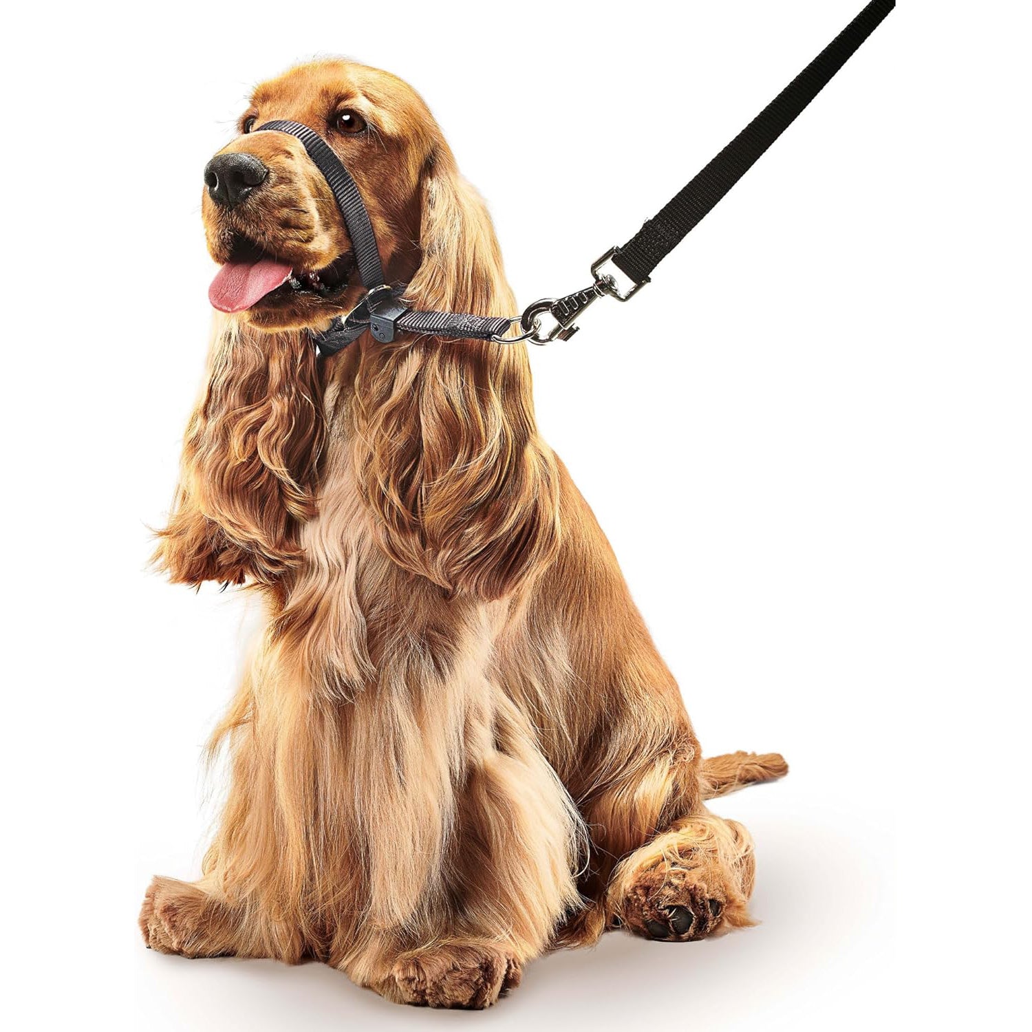 Beaphar Gentle Leader – Black, Medium