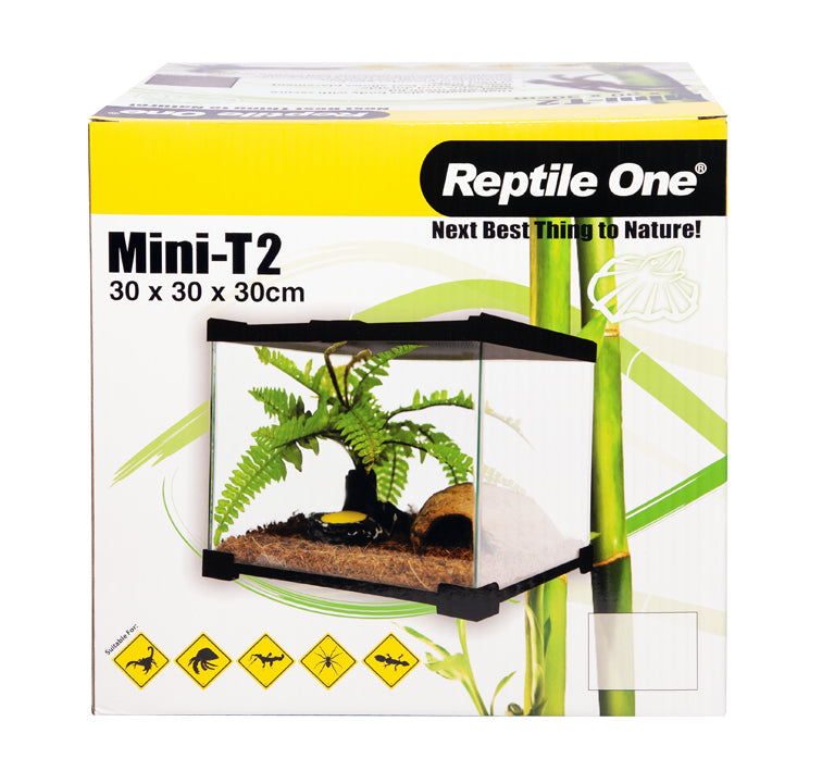 Reptile One Glass Terrariums
