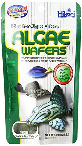 Hikari Algae Wafers Bottom Feeder & Pleco Food