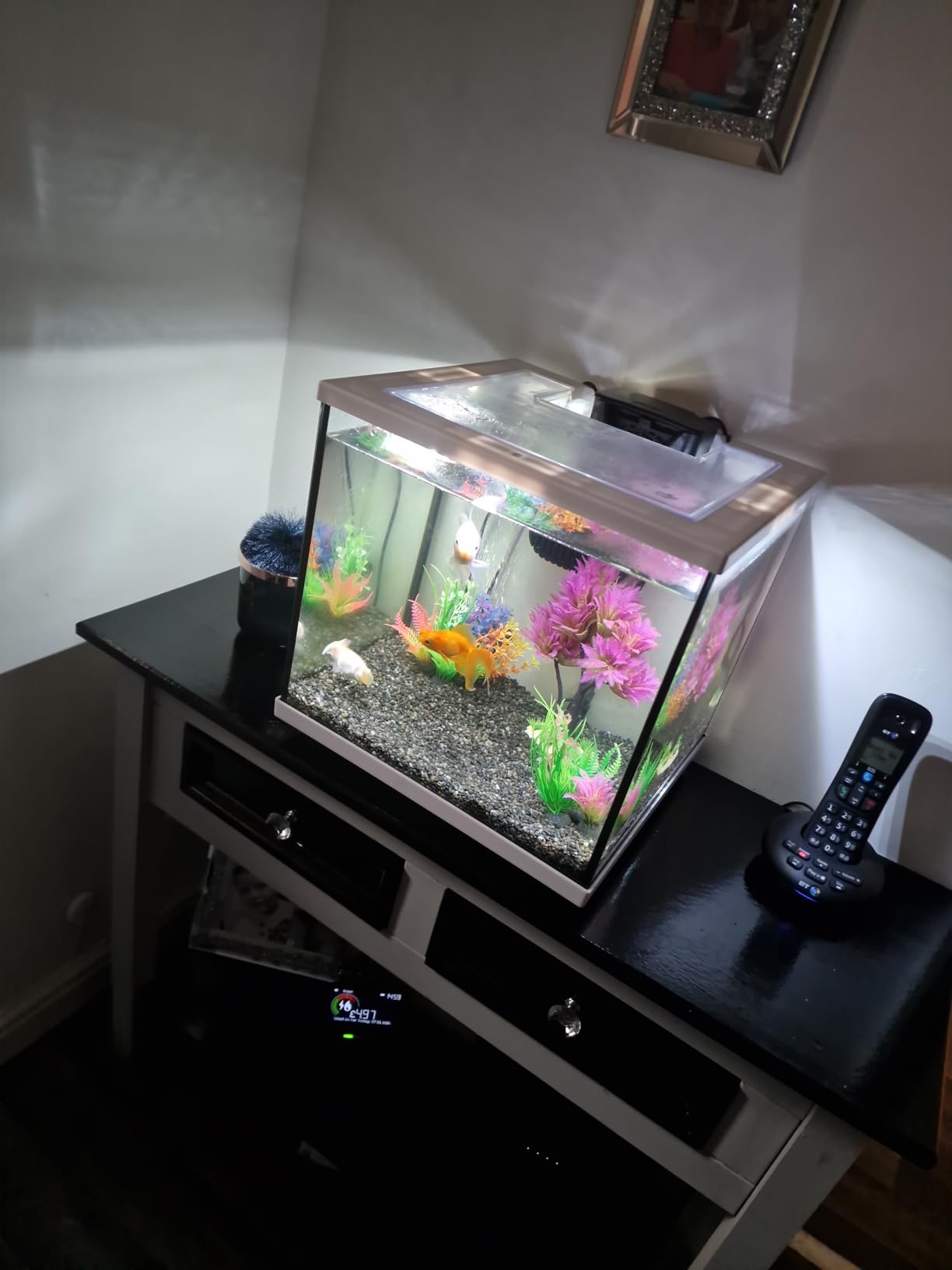 The Complete Aquarium Starter Bundle – 20% Off