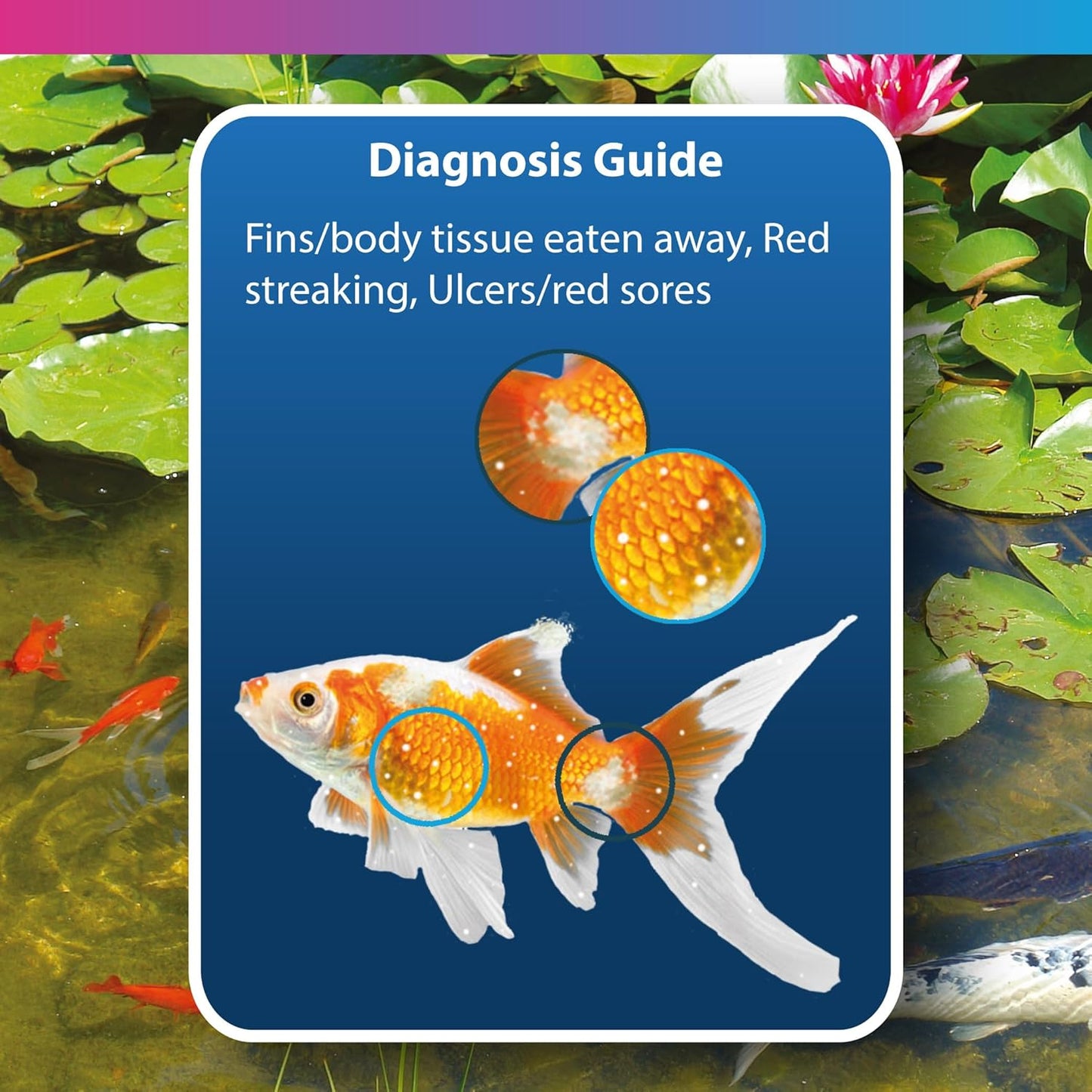 Bermuda Ulcers & Parasites Treatment