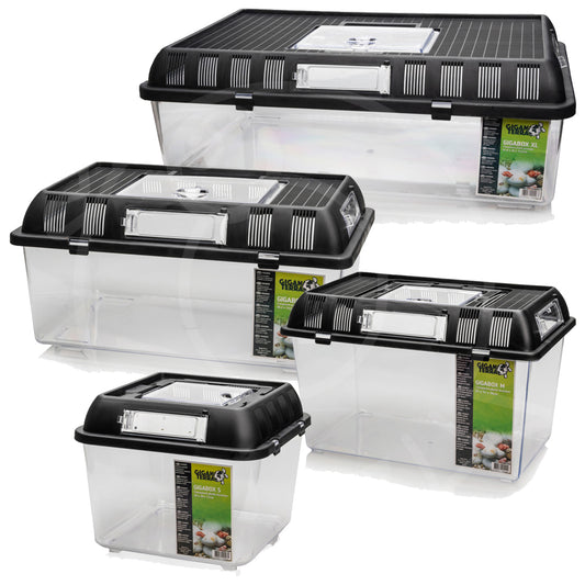 Giganterra Reptile Breeding Box XL