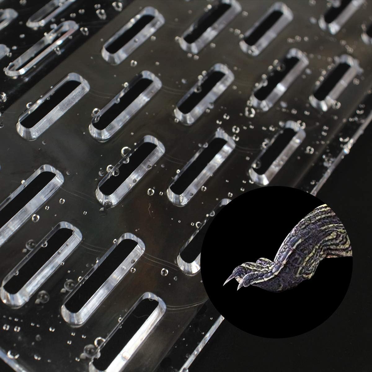 GigaClimb Reptile Hanging Acrylic Turtle Climb Platform