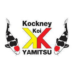 Kockney Koi