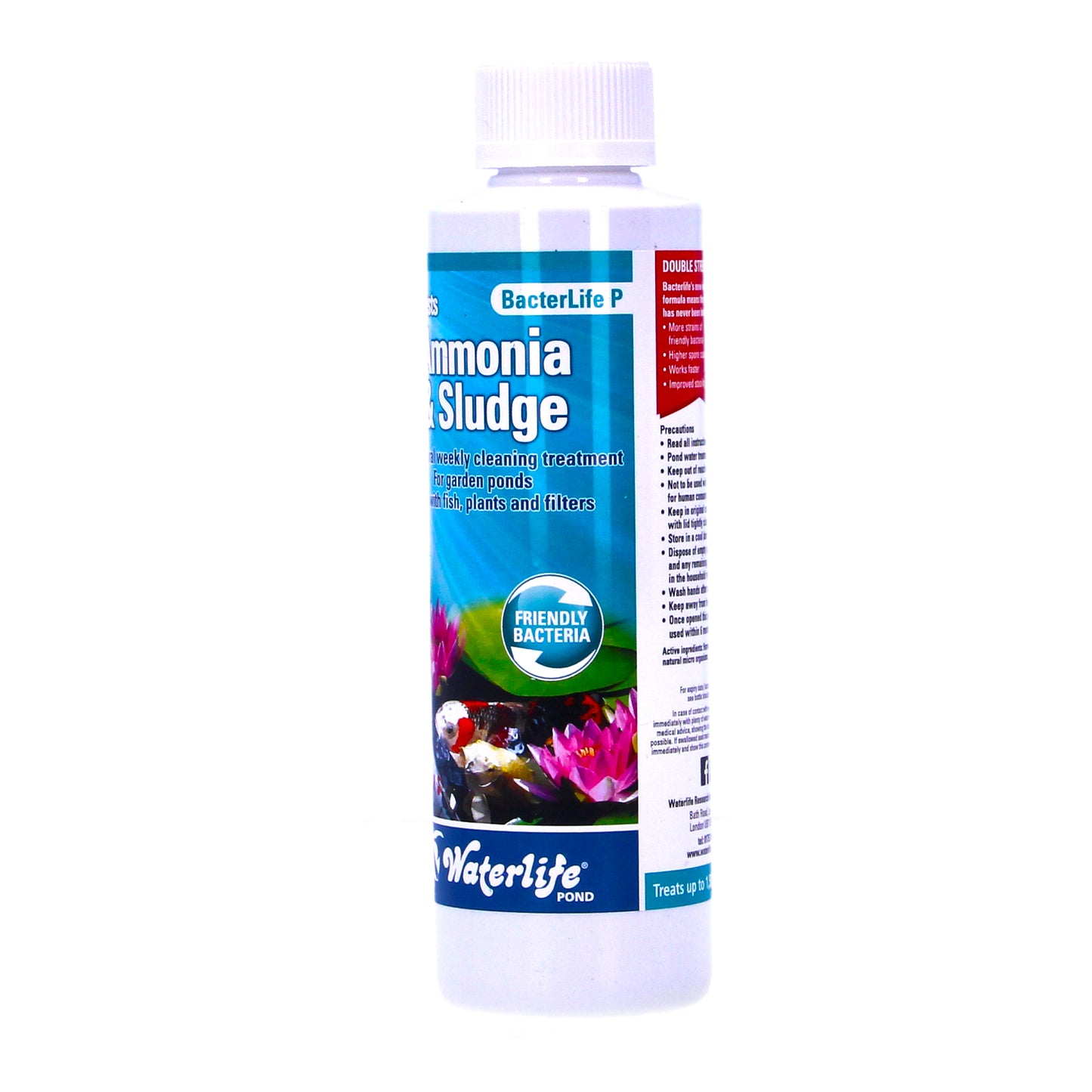 Waterlife Bacterlife P 250ml