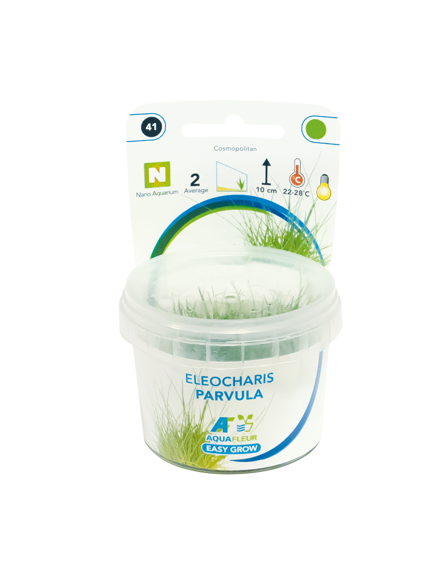 Aquafleur Easy Grow 41 Eleocharis Parvula (NEW)