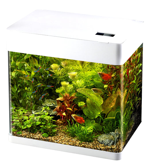 Superfish Panorama 50 White LED Aquarium