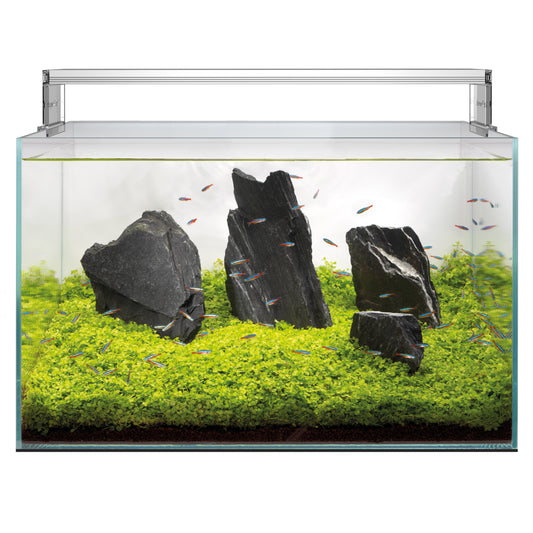 Superfish Scaper 140 Aquascape Aquarium Tank