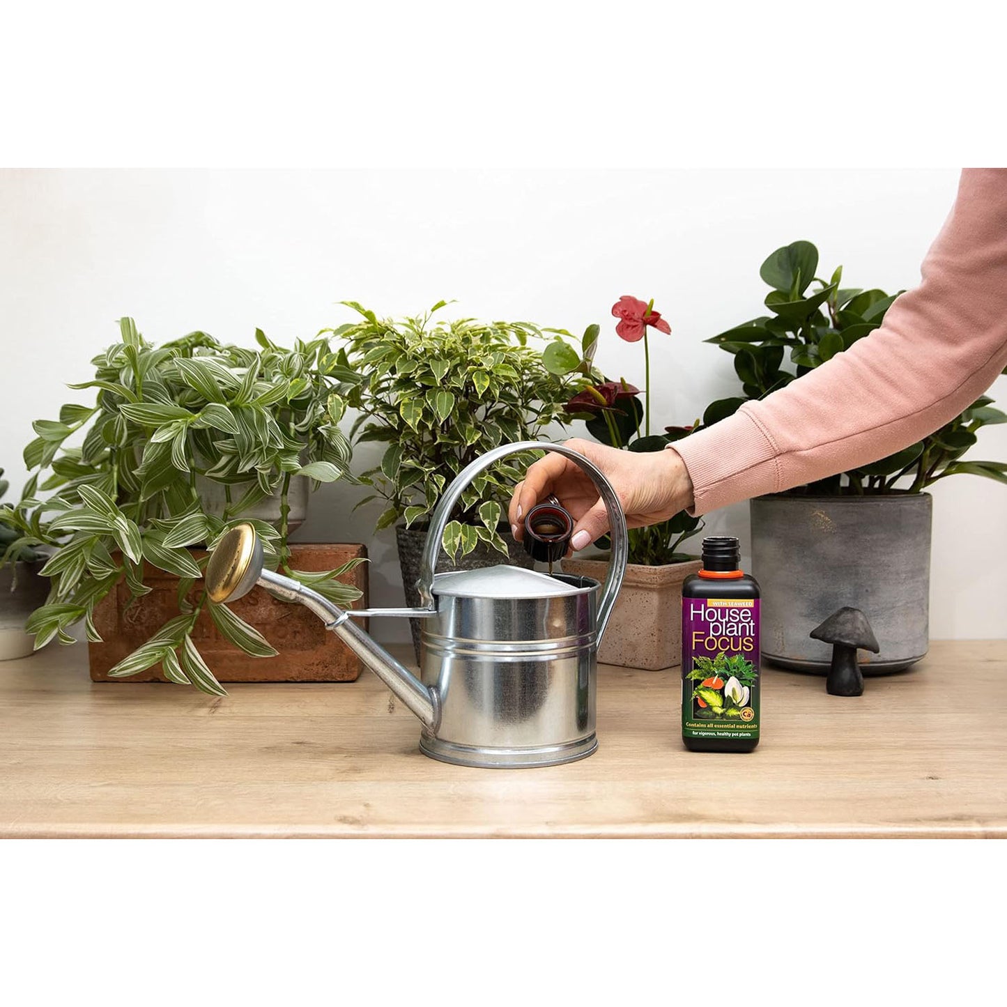 Growth Technology Houseplant Focus 300ml