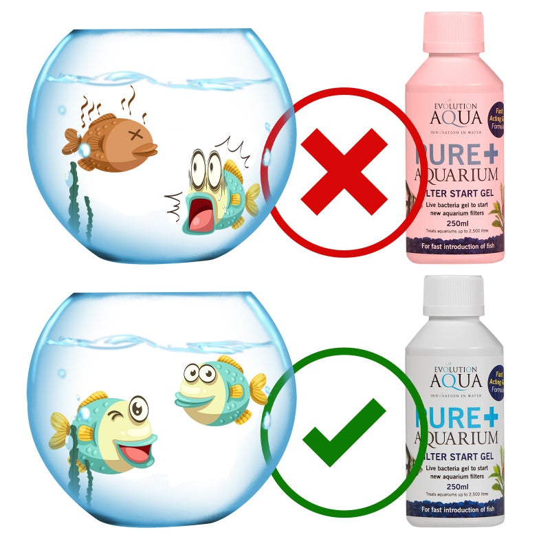Evolution Aqua PURE Filter Start Gel 250ml