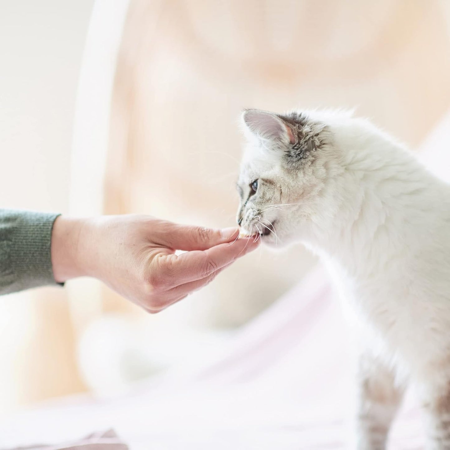 Beaphar Fresh Breath 40 Tablets for Cat & Dogs