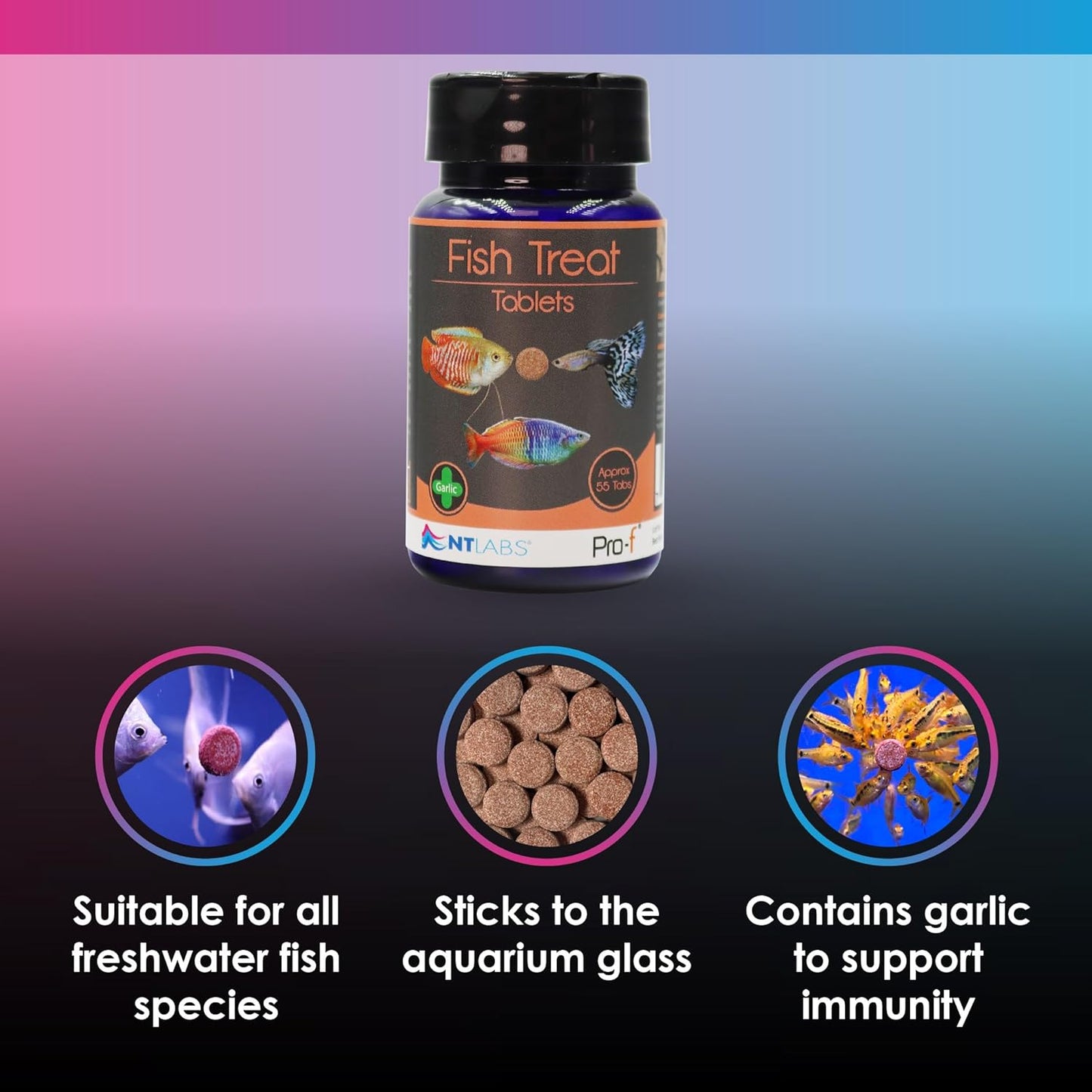 Nt Labs Pro-F Fish Food Treat Tablets 40g