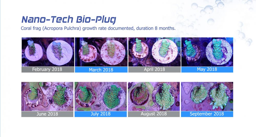 Maxspect Nano-Tech Bio Plug 25 Pack