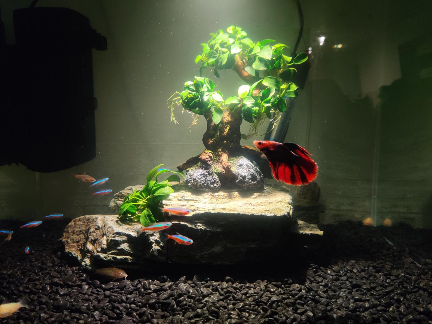 Marina Decorative Aquarium Gravel