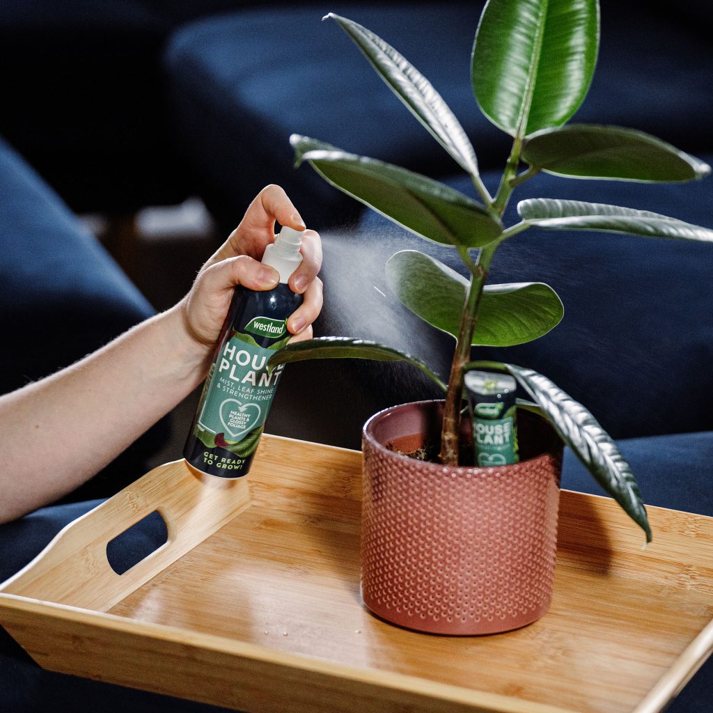 Westland Houseplant Mist & Leaf Shine 250ml