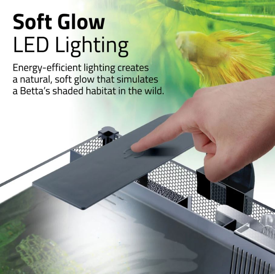 Fluval Betta LED Glass Aquarium 22.7L