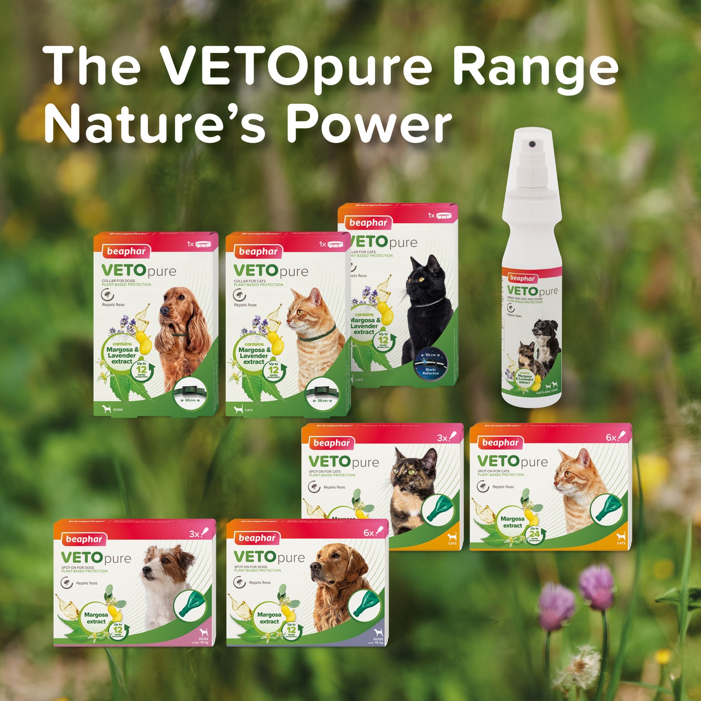 Beaphar VETOpure Flea Spot On for Cats 12 Weeks, 3 Pipettes