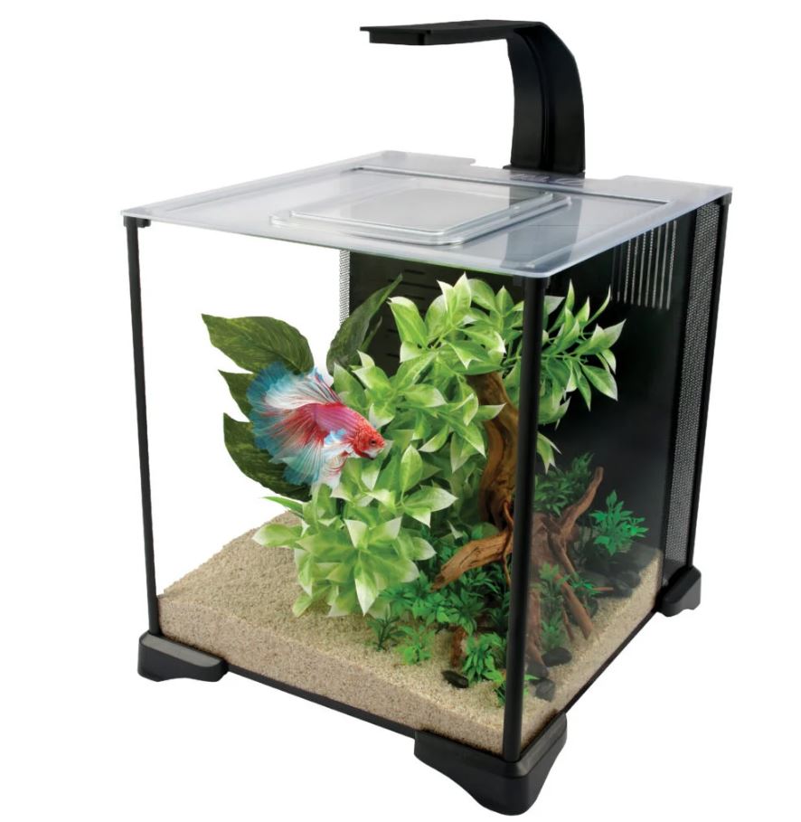 Fluval Betta LED Glass Aquarium 22.7L