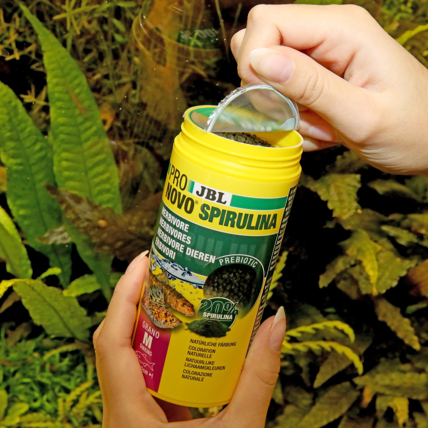JBL Pro Novo Spirulina Grano M 250ml