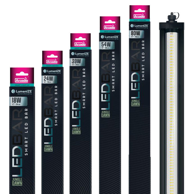 Arcadia LumenIZE Jungle Dawn App-Controlled LED Bars