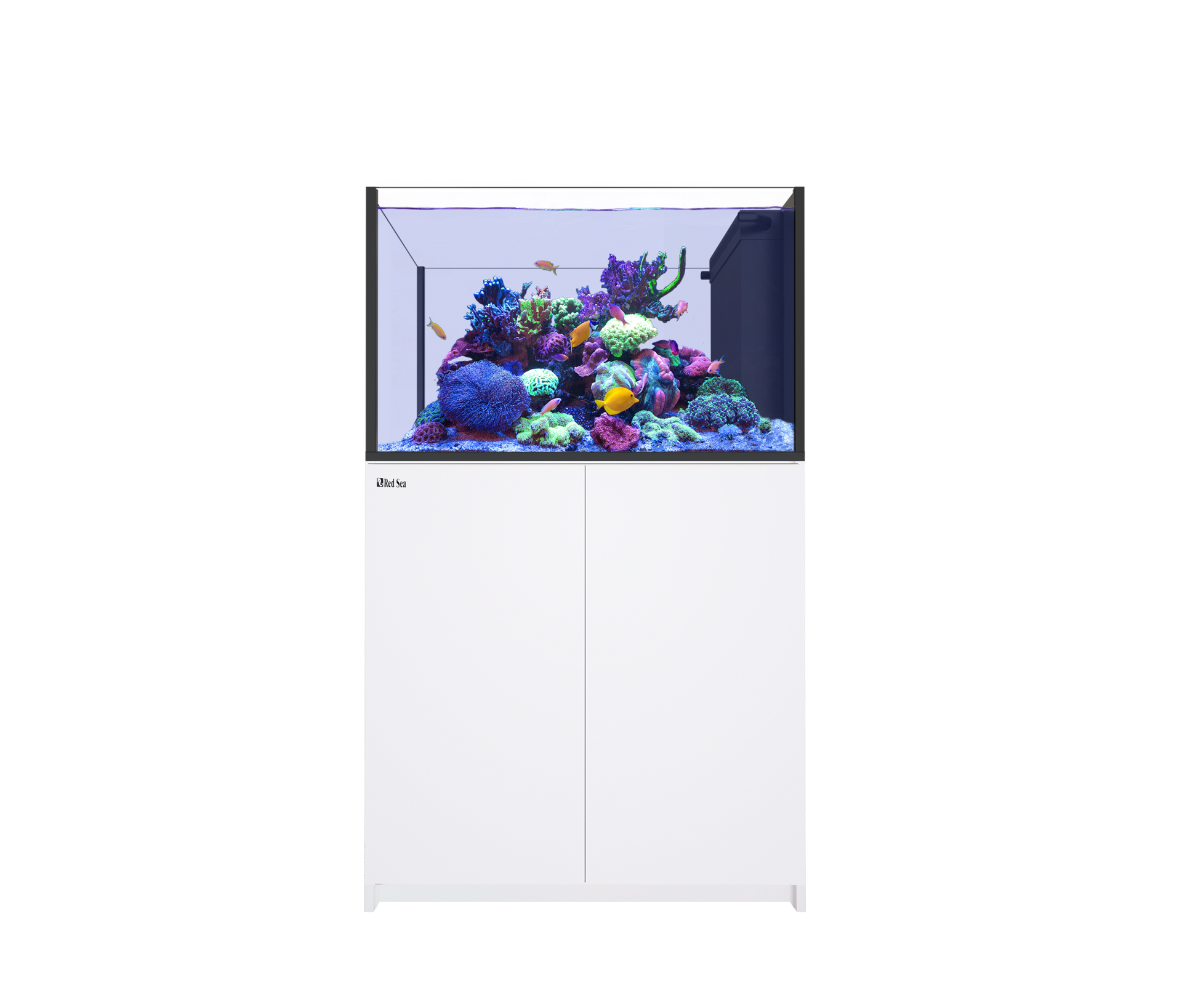 Red Sea Reefer Peninsula 350 G3 Aquarium