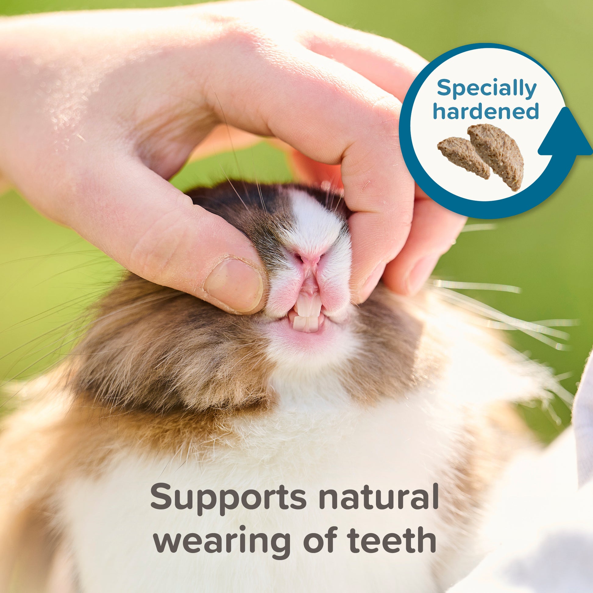 Beaphar Care+ Chinchilla Food 1.5kg