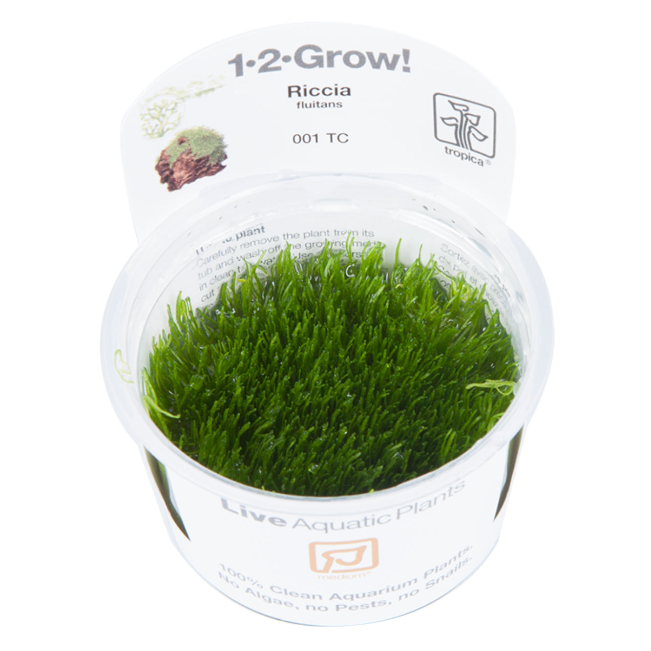 Tropica Riccia fluitans (Medium, Foreground) 1-2-Grow!