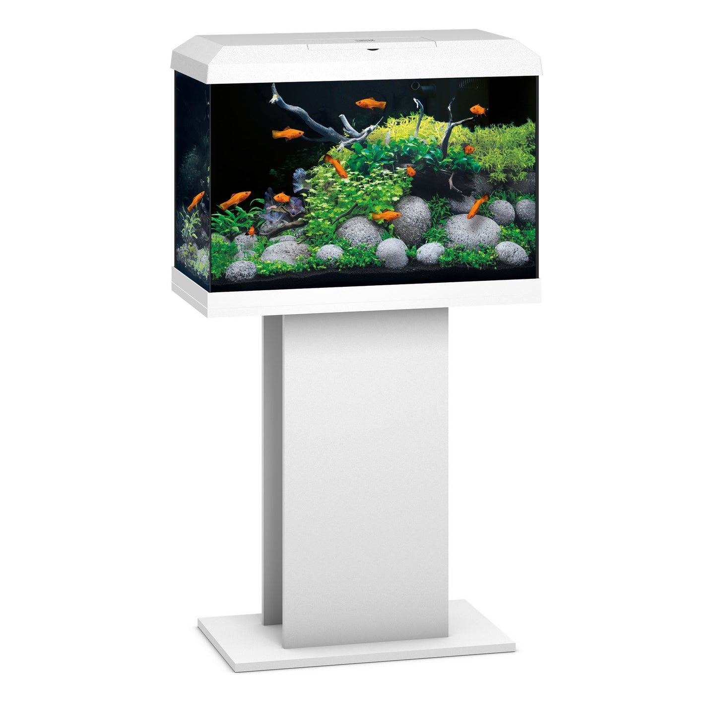 Juwel Primo 70 White Aquarium