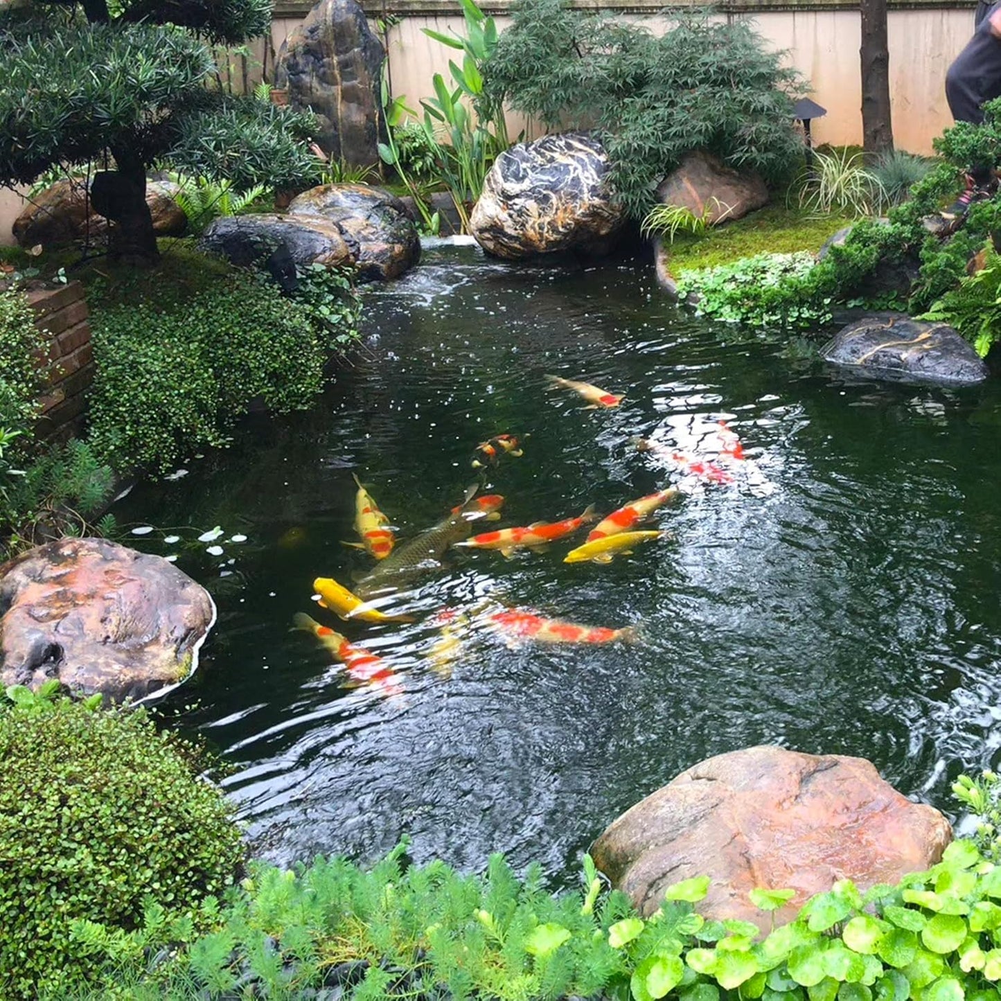 Bermuda Water Courses PVC Pond Liners