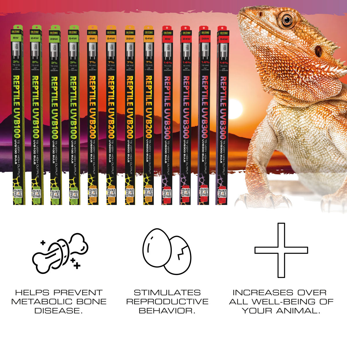 Exo Terra Reptile UVB Bulbs