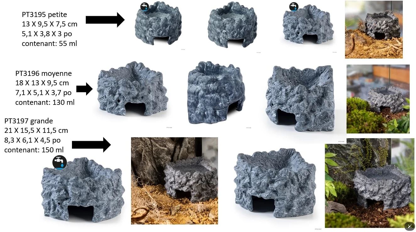 Exo Terra Moisture Ceramic Corner Reptile Home | from Aquacadabra