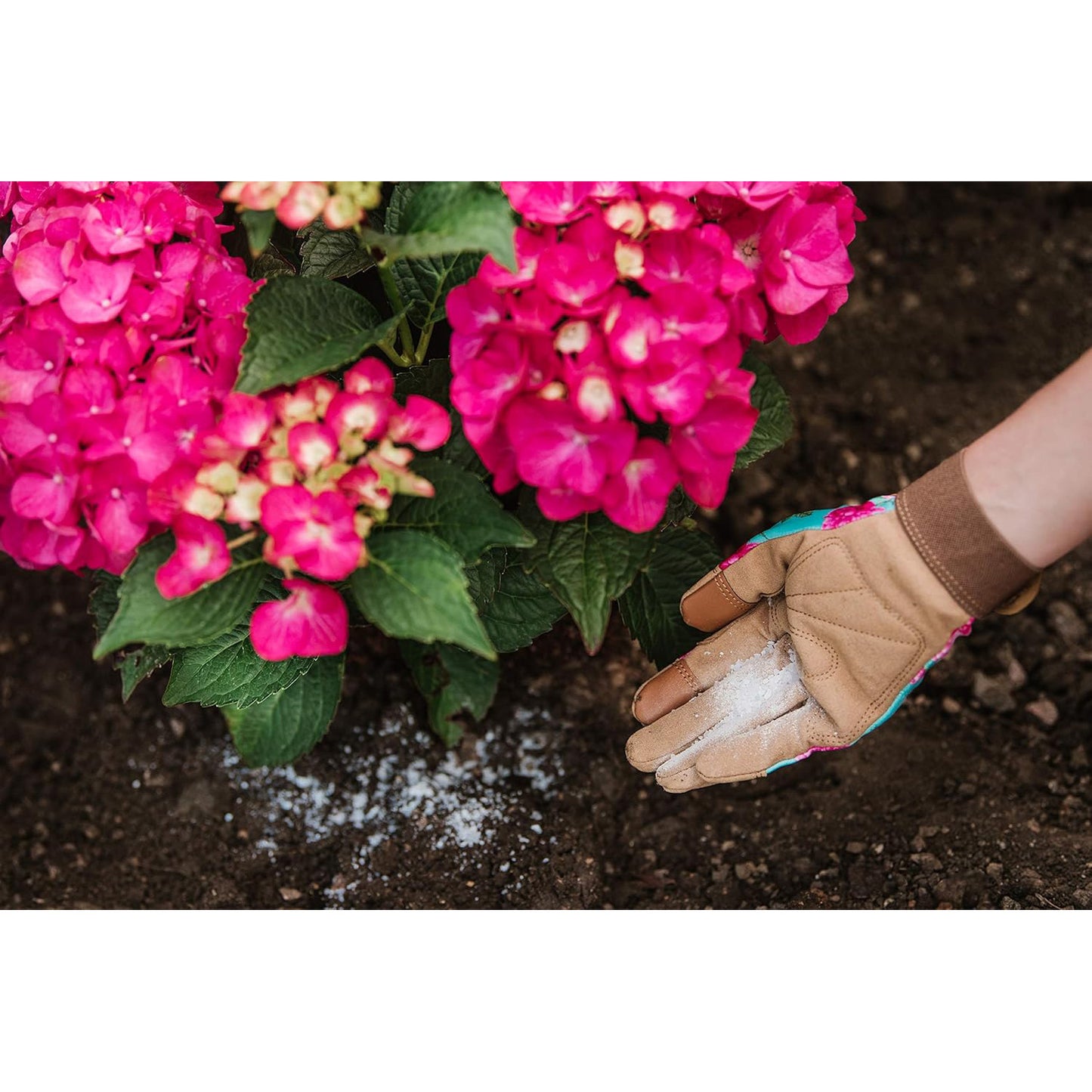Westland Hydrangea Colourant 500g