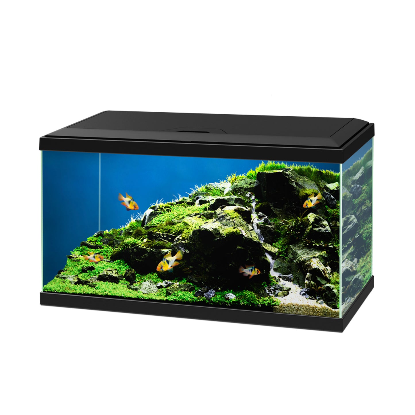 Ciano Aqua 60 Aquarium - with CBIO 150 Filter