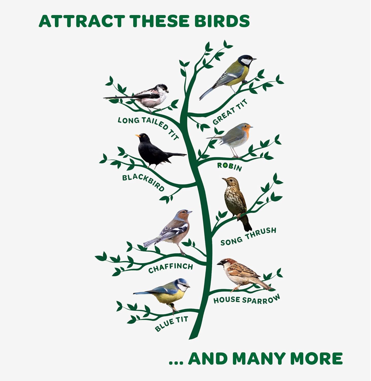 Wild Bird Feeder & Complete Seed Mix 2.04kg