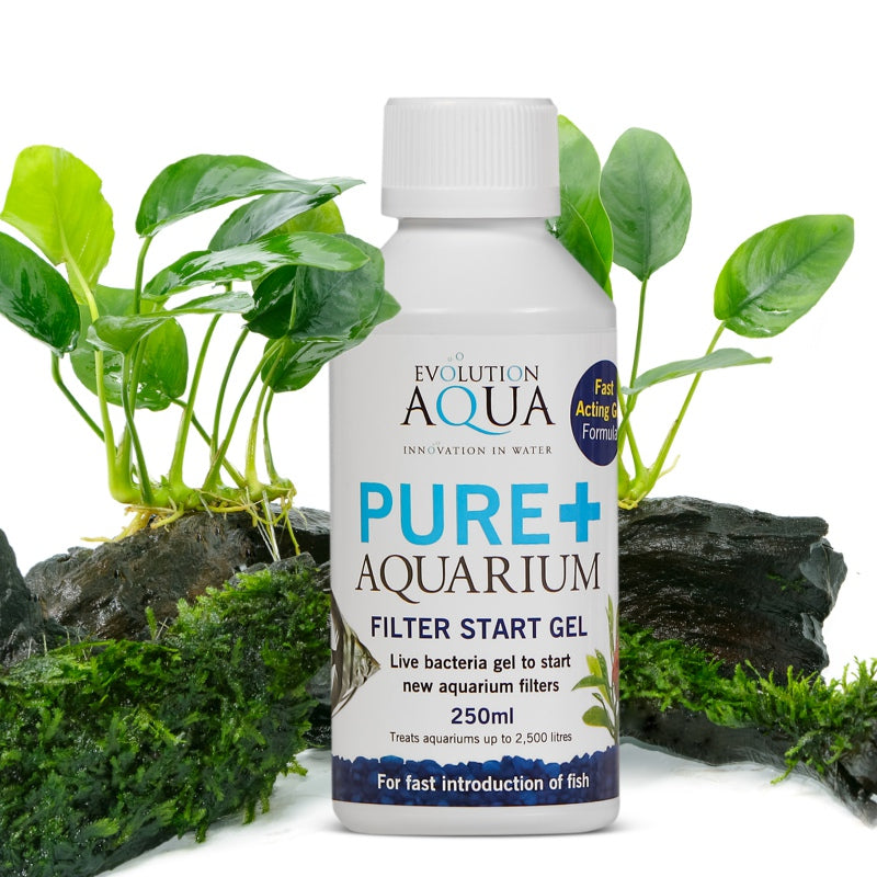 Evolution Aqua PURE Filter Start Gel 250ml