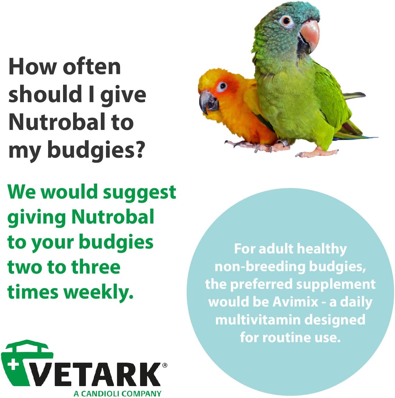 Vetark Reptile Bird Multivitamin Supplement