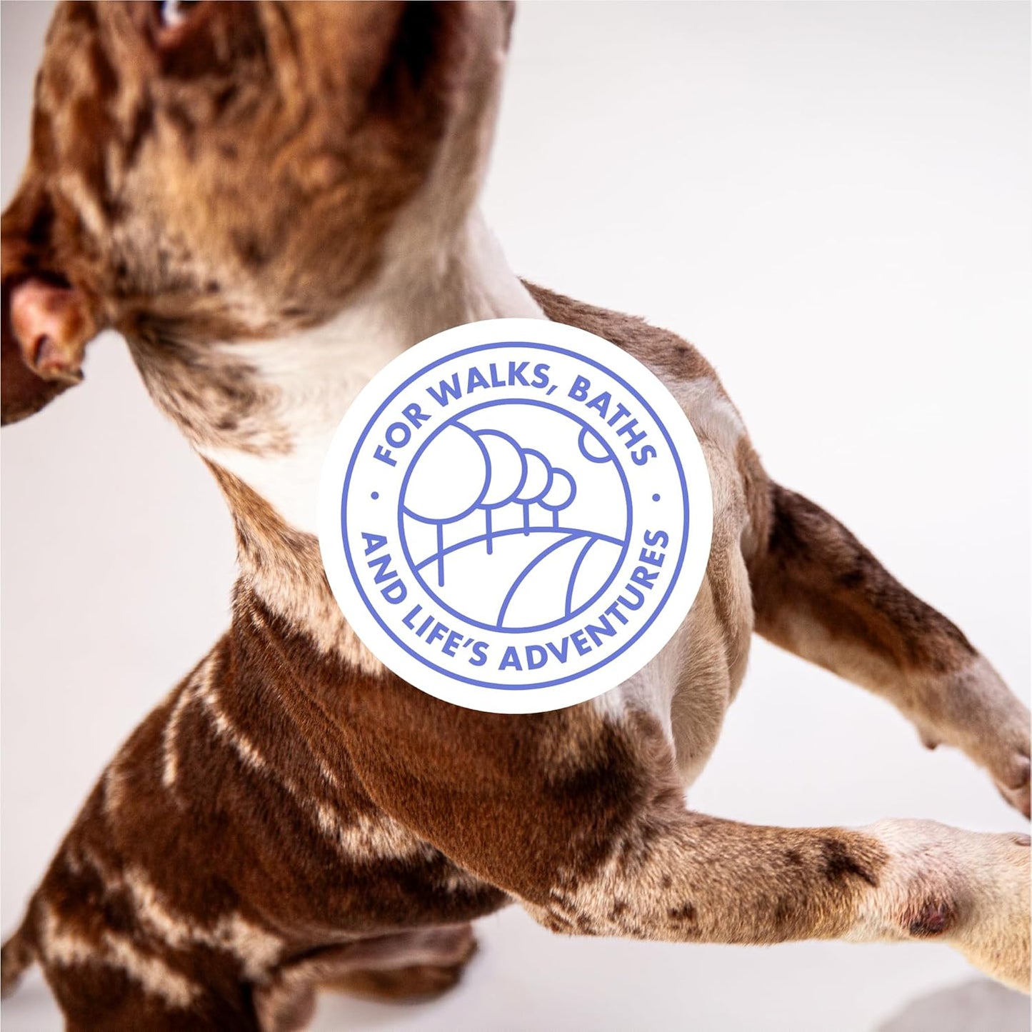 DotDotPet Mini Eco Dog Quick-Dry Biodegradable Towels