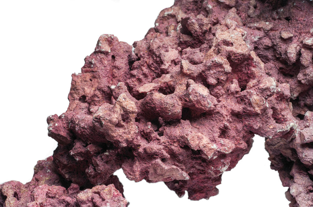 D-D Marco Coralline Rock