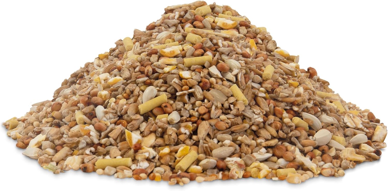 Wild Bird Feeder & Complete Seed Mix 2.04kg