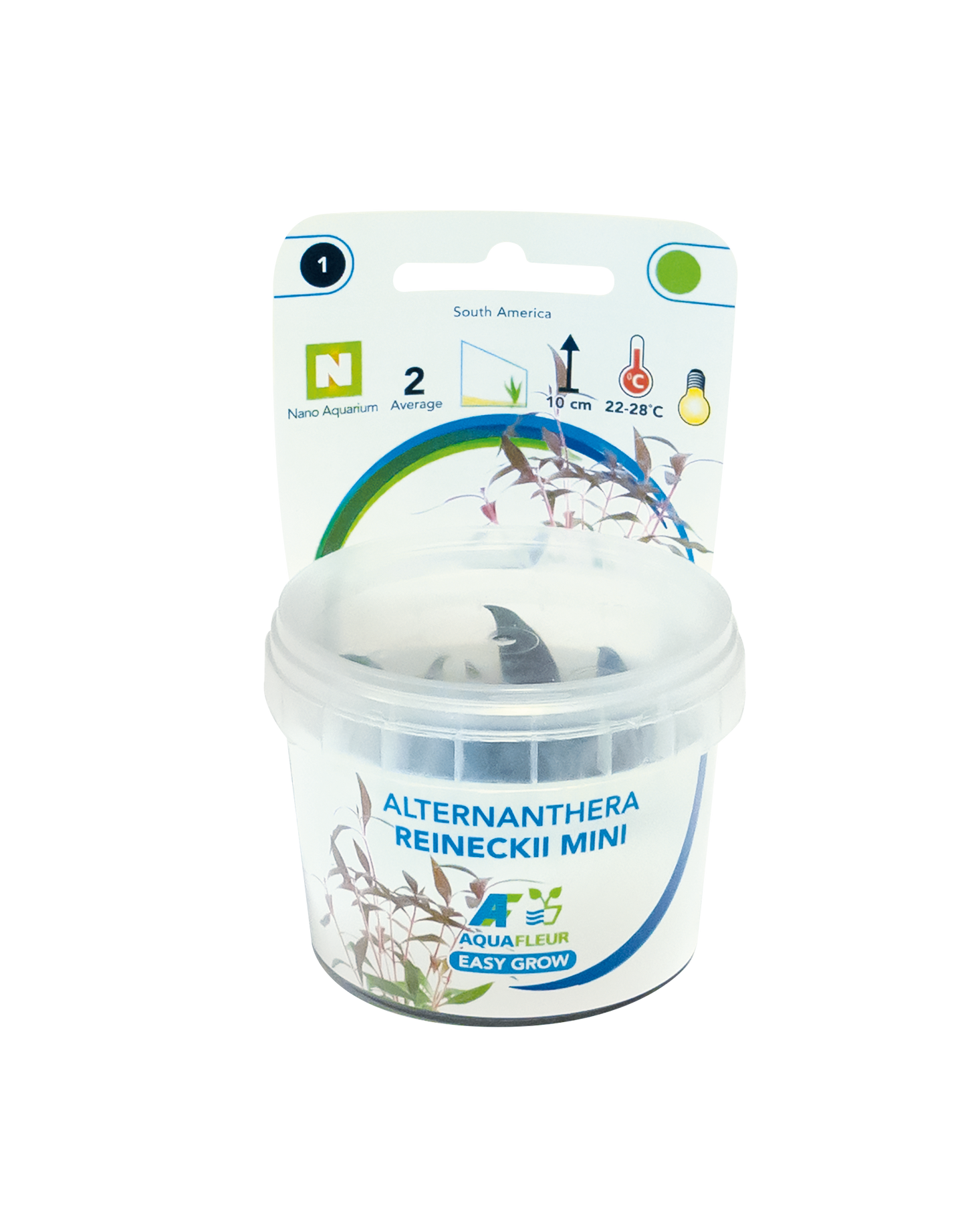 Aquafleur Easy Grow 1 Alternanthera Reineckii Mini